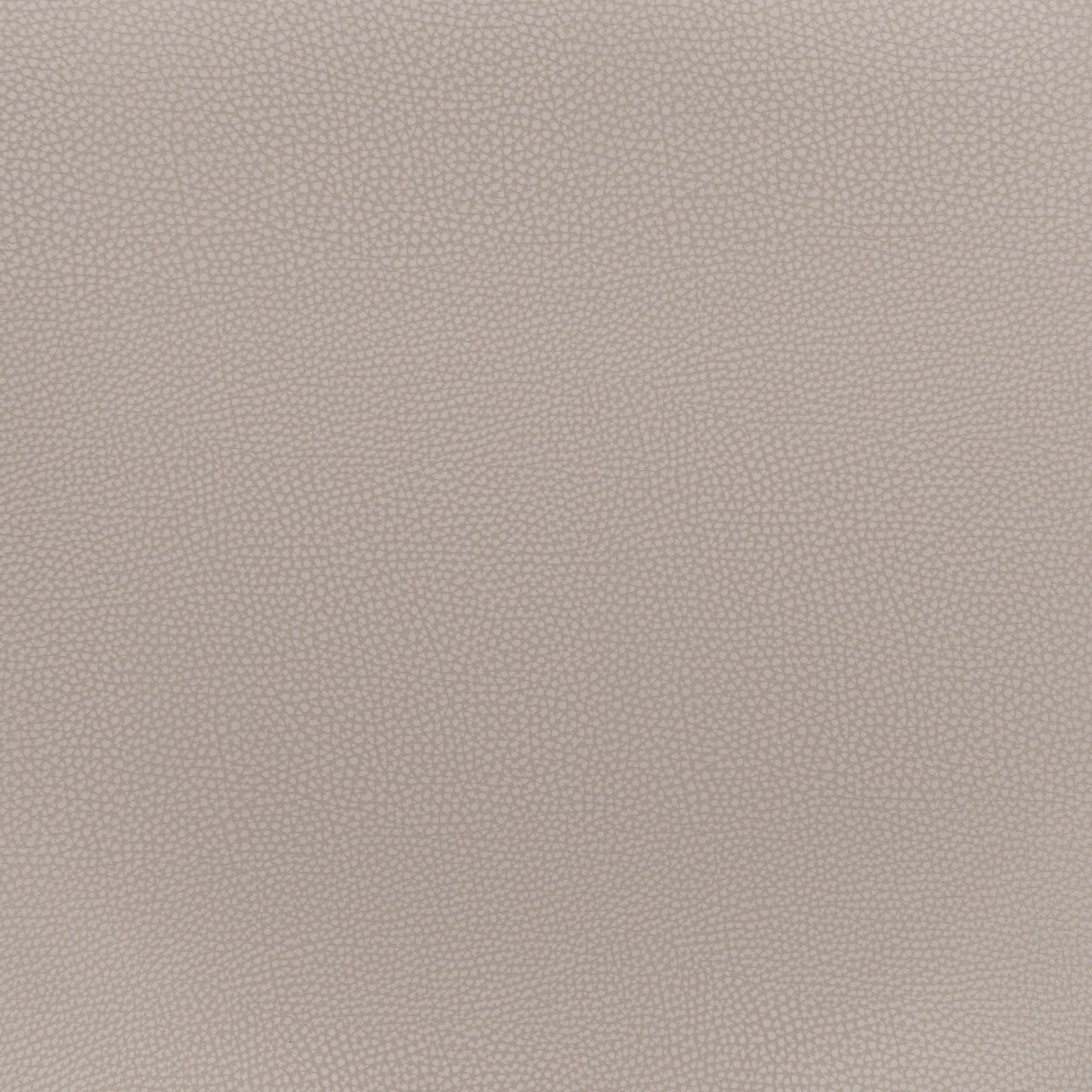 Desi Dining Chair (Set of 2) Beige & Gold