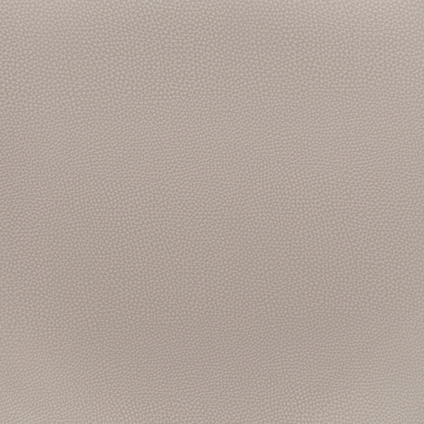 Desi Dining Chair (Set of 2) Beige & Gold