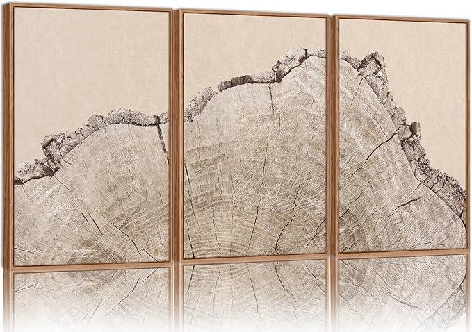 SIGNINART Large Tree Ring Framed Canvas Wall Art Set, Rustic Beige Nature Wooden Wall Decor, Neutral Wood Stump Artwork, Modern Art Prints for Bedroom Living Room Office 16
