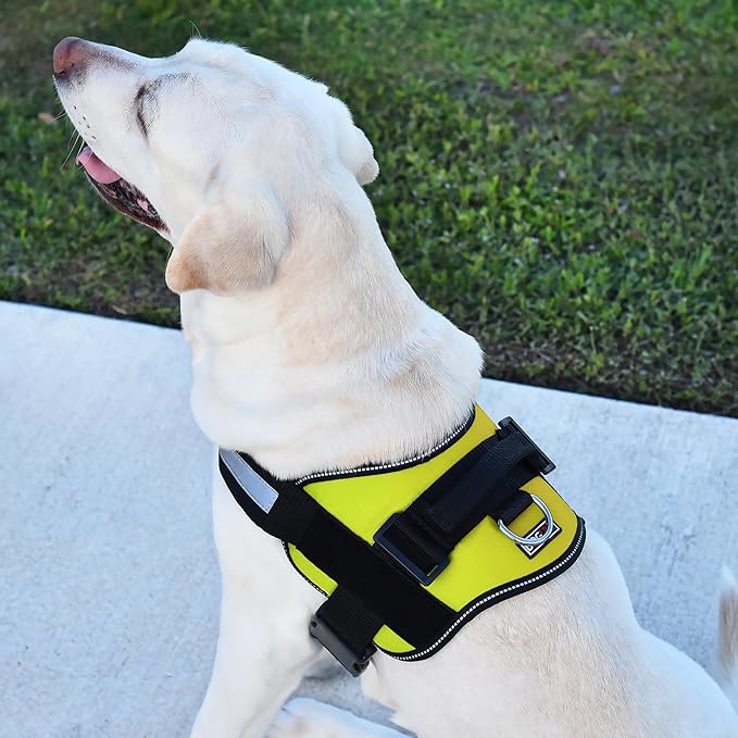 Dogline Dog Harness, Reflective No-Pull Adjustable Vest with Handle for Walking, Training, Breathable, No - Choke Harness for Small, Medium or Large Dogs Room for Patches Girth 22