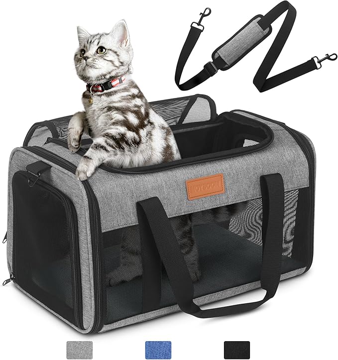 PETUX TSA Approved Pet Carrier in Cabin, 17