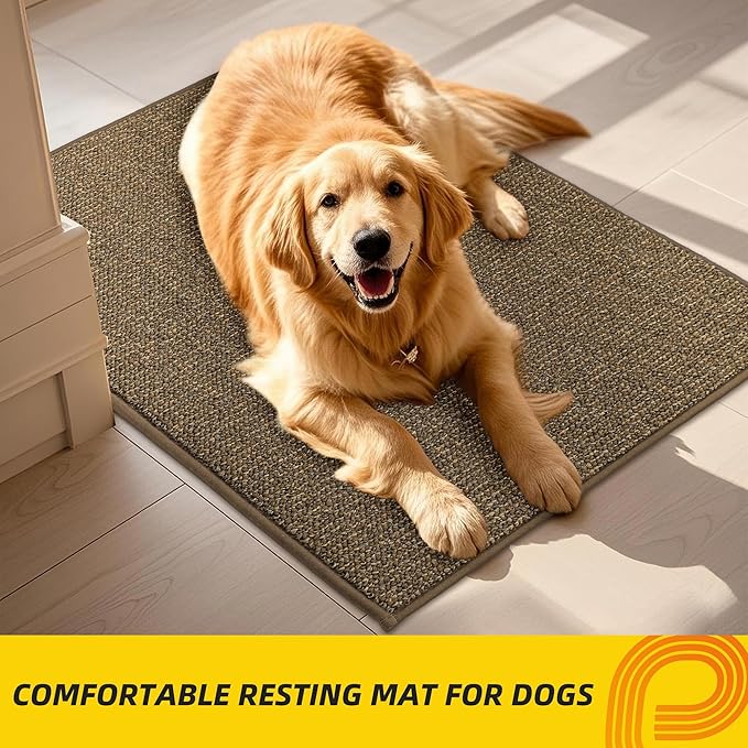JSEI Dirt Trapper Door Mat 20