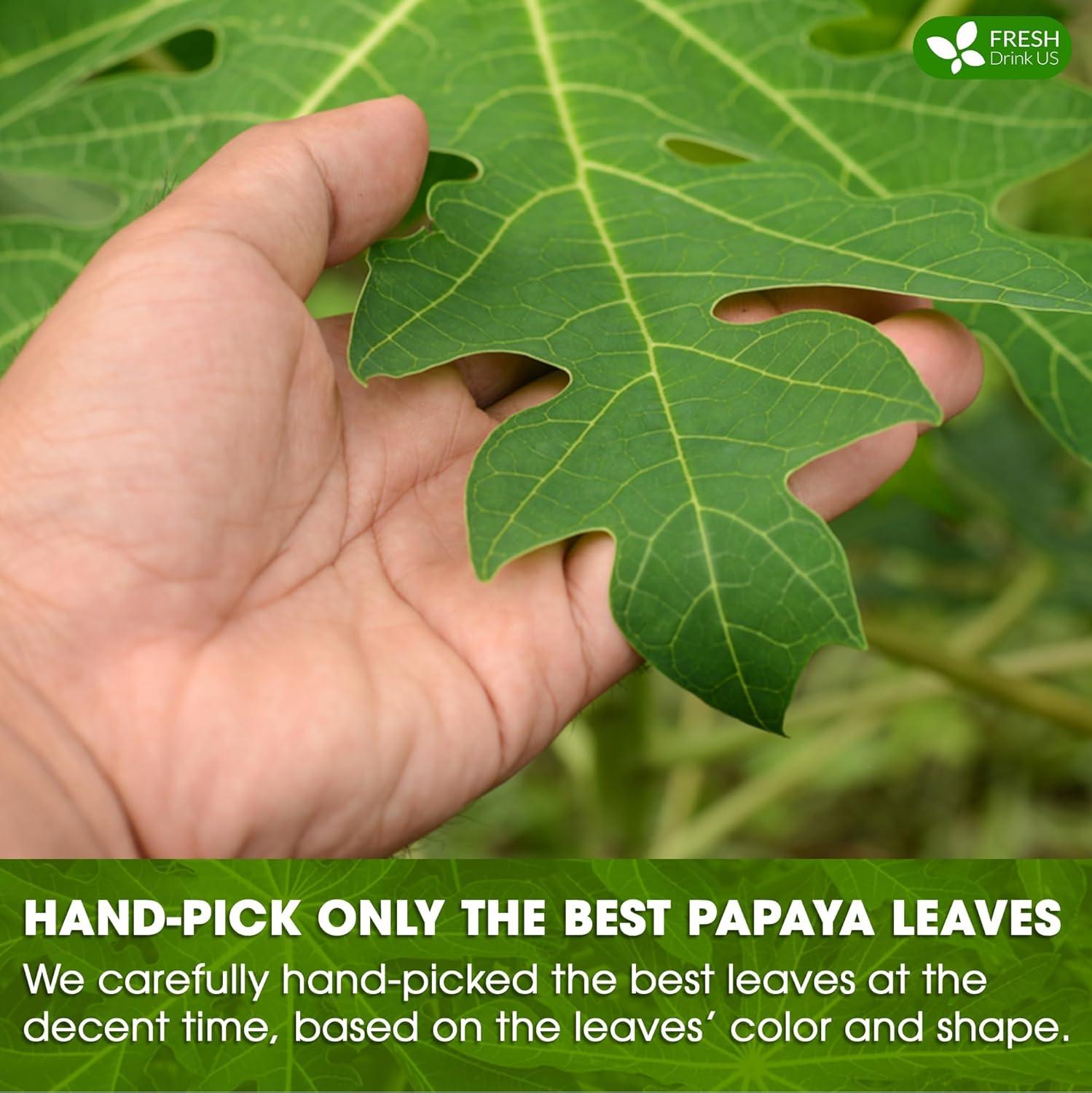 Premium Papaya Dried Leaves,  Papaya Loose Leaf Herbal Tea, No Additives, No Caffeine, Vegan