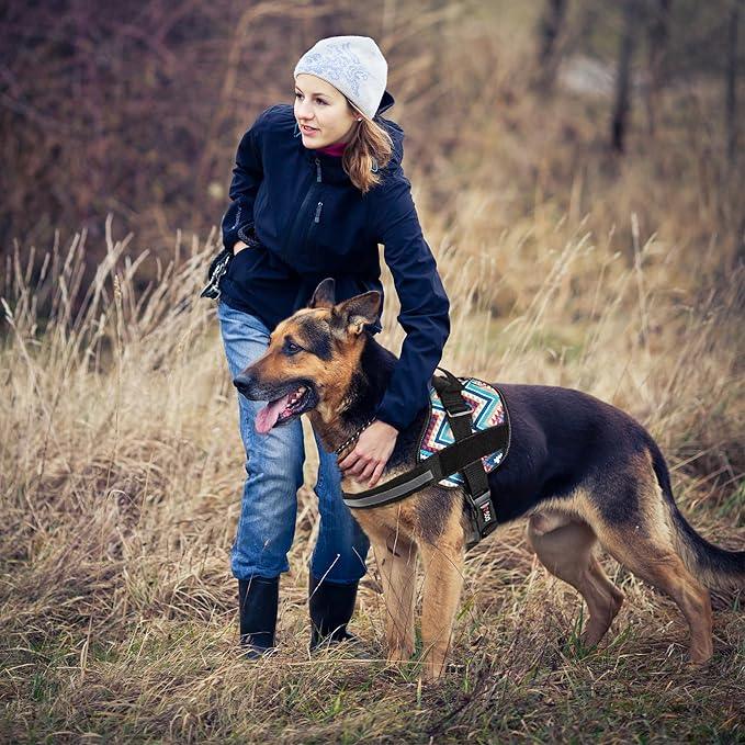Dogline Dog Harness, Reflective No-Pull Adjustable Vest with Handle for Walking, Training, Breathable, No - Choke Harness for Small, Medium or Large Dogs Room for Patches Aztec Design 2 L 27