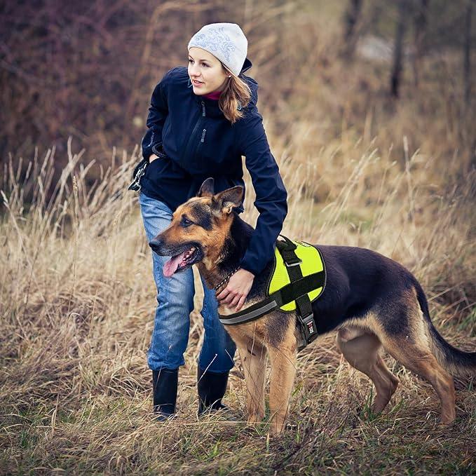 Dogline Dog Harness, Reflective No-Pull Adjustable Vest with Handle for Walking, Training, Breathable, No - Choke Harness for Small, Medium or Large Dogs Room for Patches Girth 22