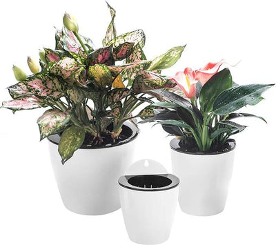 3 Pack Self Watering Wall Hanging Planter Pots Vertical Garden Window Hang Mount Indoor Outdoor Plant Flower Basket for Kitchen Herbs Balcony Railing Shelf Fence Bedroom Trellis Decor Modern White Box