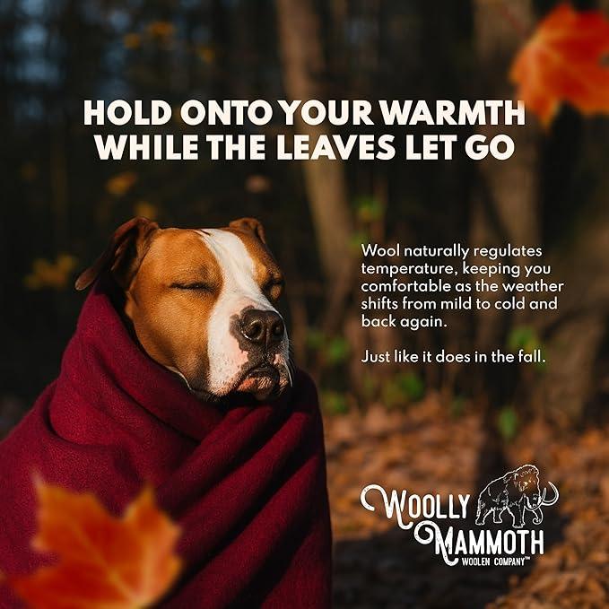 Woolly Mammoth Woolen Company Merino Wool Blanket - 66