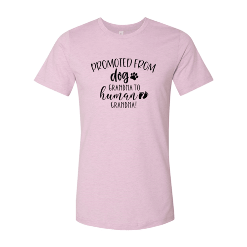 Promoted from Dog Grandma to Human Grandma T-Shirt