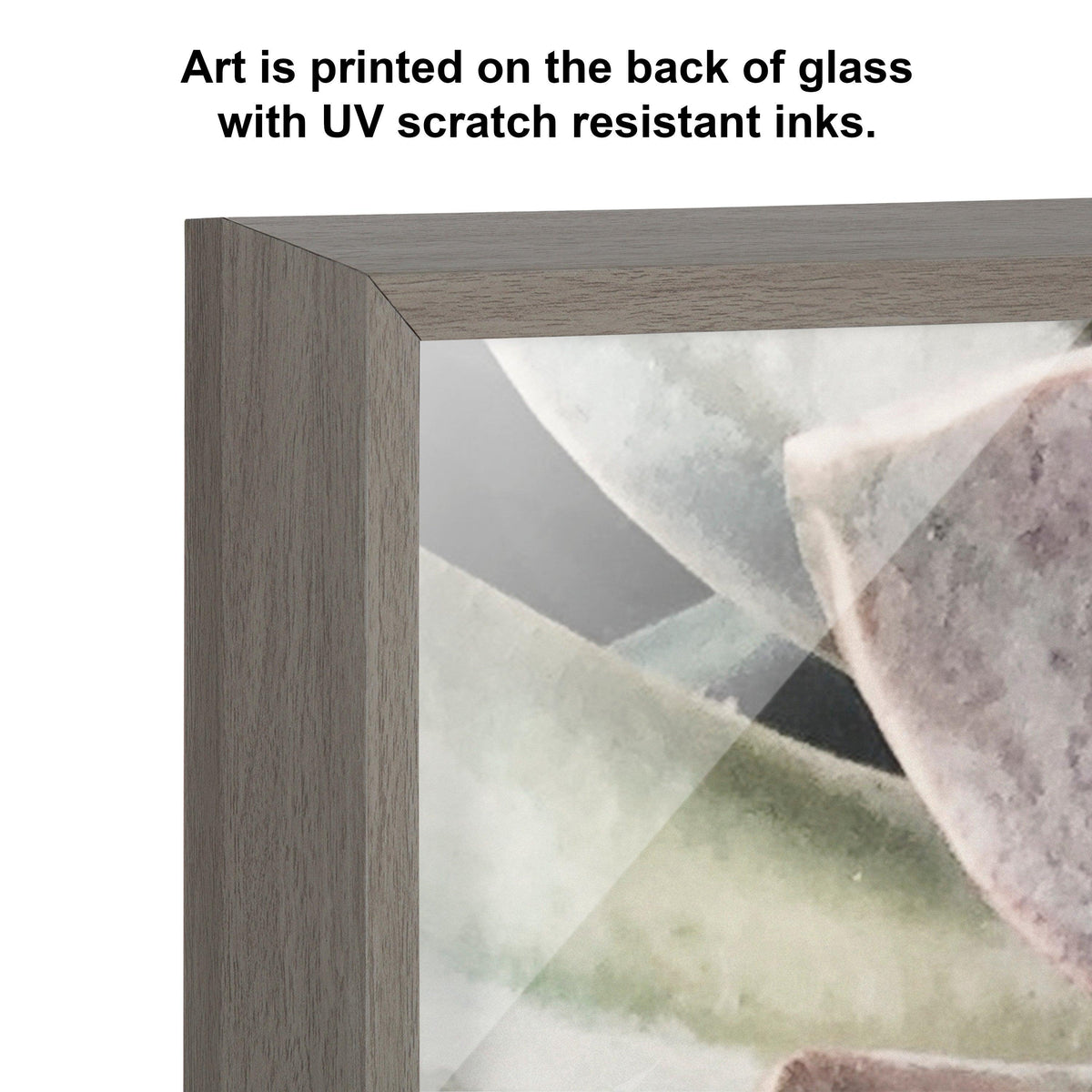 Blake Botanical Succulent Plants 1 Framed Printed Glass by The Creative Bunch Studio