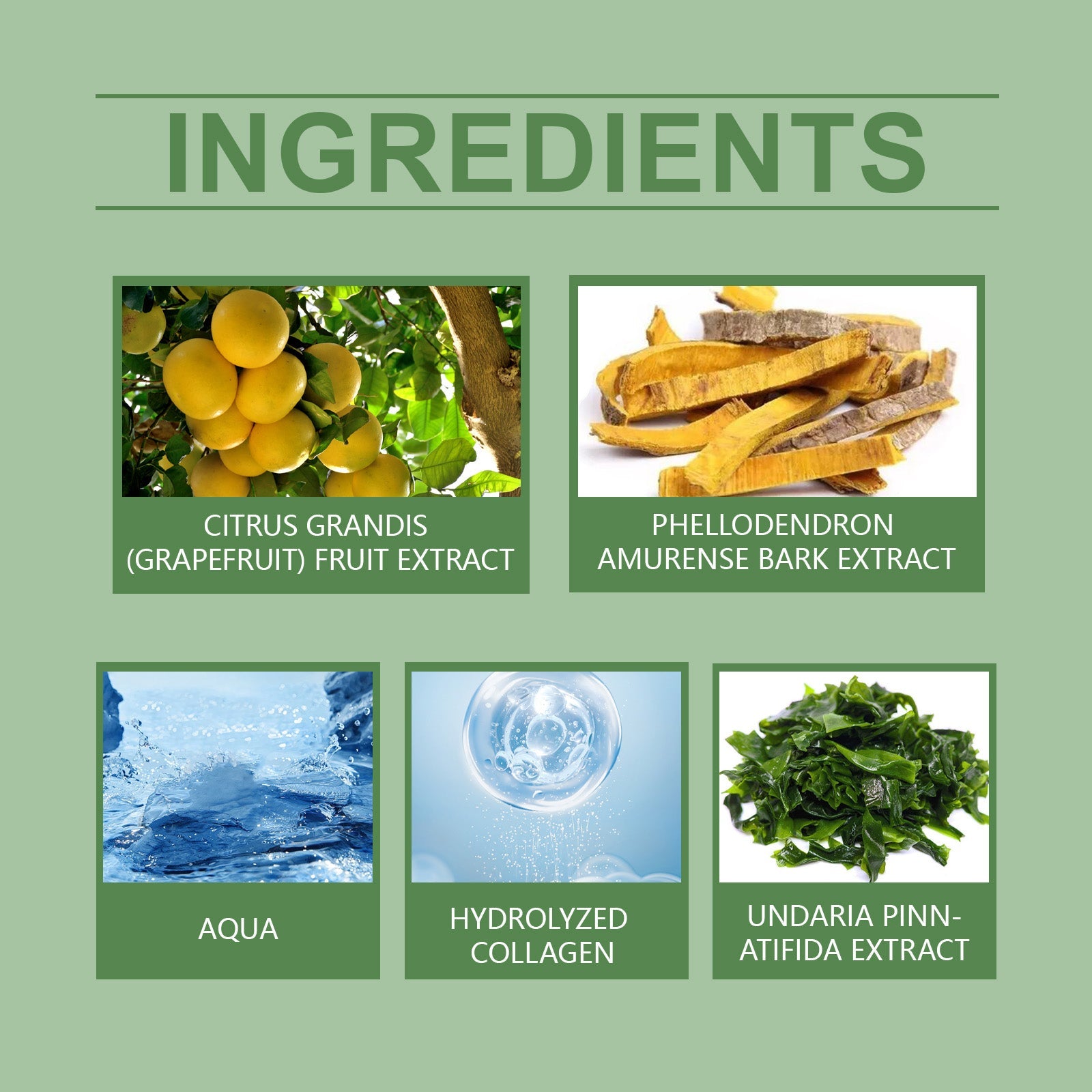 Oceaura Collagen Body Lotion Keeps Moisture In And Nourishes The Skin