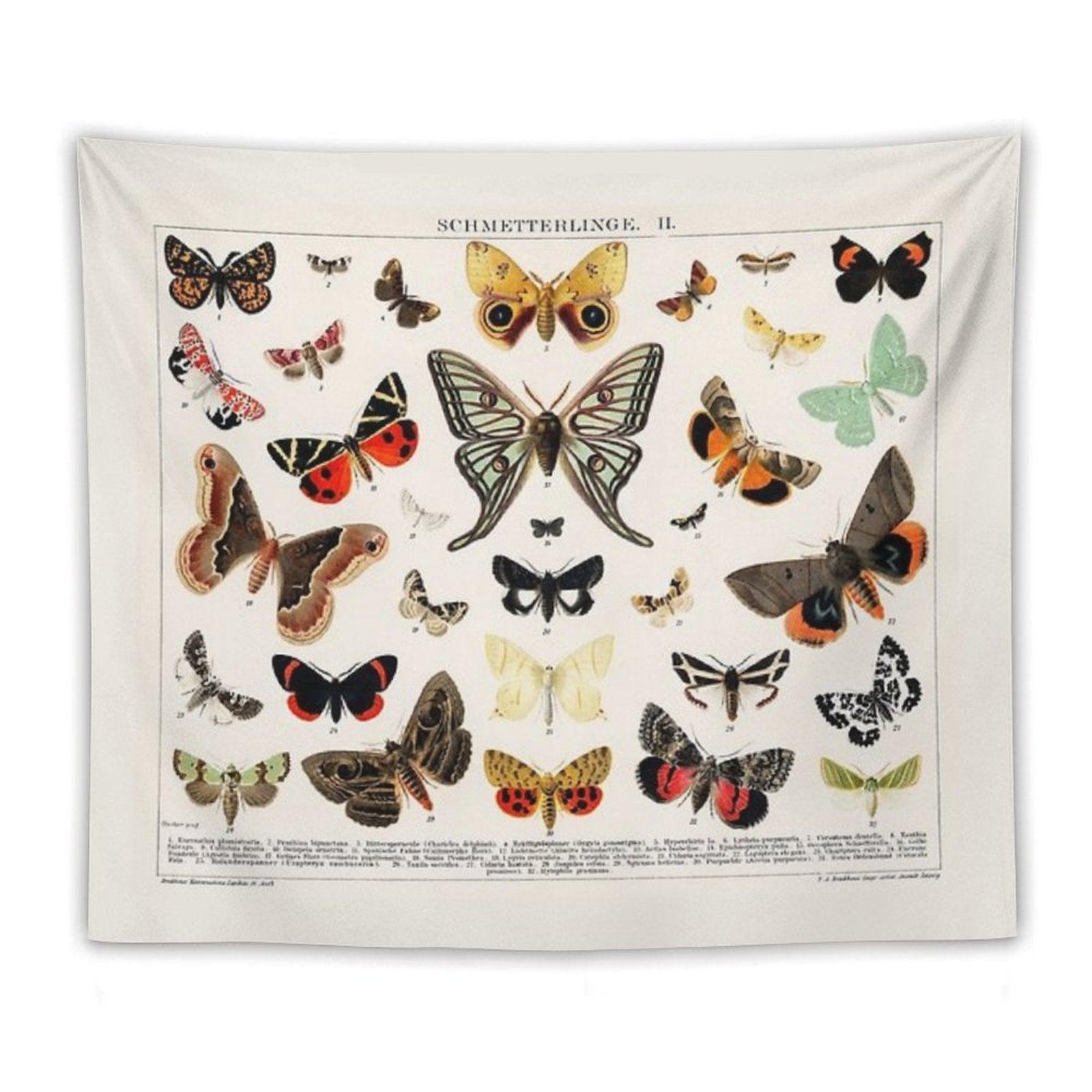 1894 Antique Butterfly Classification Illustration Tapestry