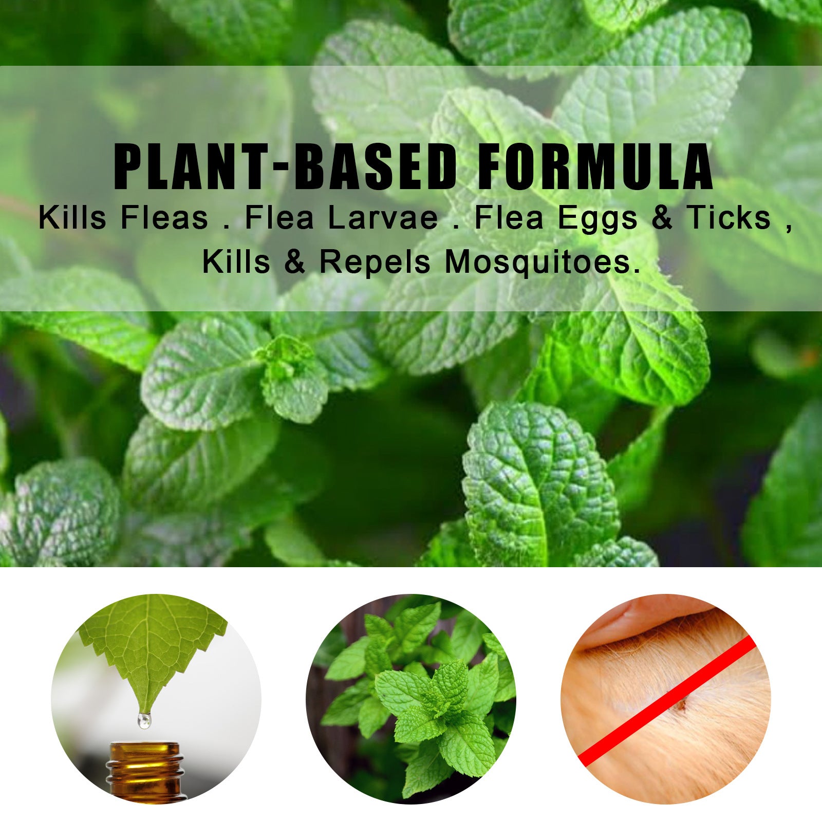 Peppermint Pet Repellent Spray, Dog Mite Spray Pet Mite Fungus Spray For Cats And Dogs