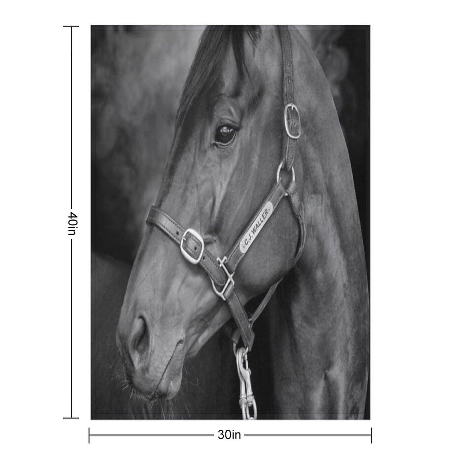 Winx - Farewell to A Champion Throw Blanket