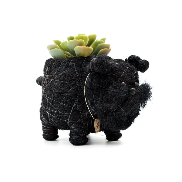 Baby Schnauzer Planter