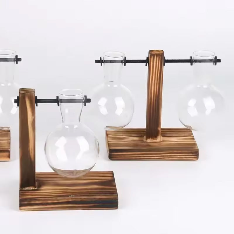 Transparent Bulb Vase with Wood Stand. For hydroponics. Great for coffee shops & room decor.