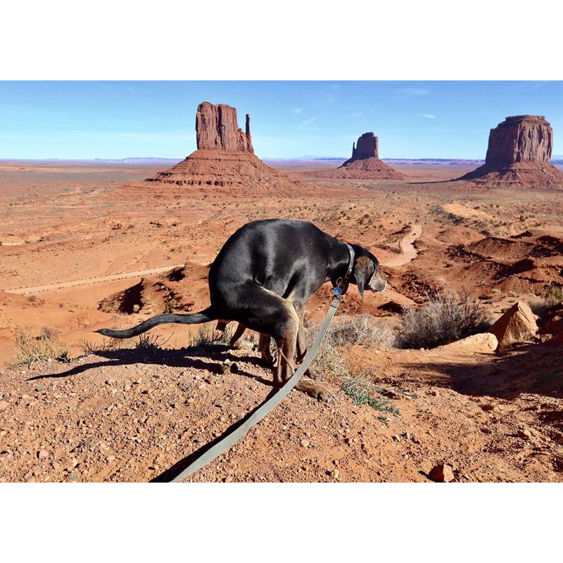 2021 Pooping Pooches Calendar White Elephant Gag Gift Calendar 2021 Calendar Poster Retro Decor Painting