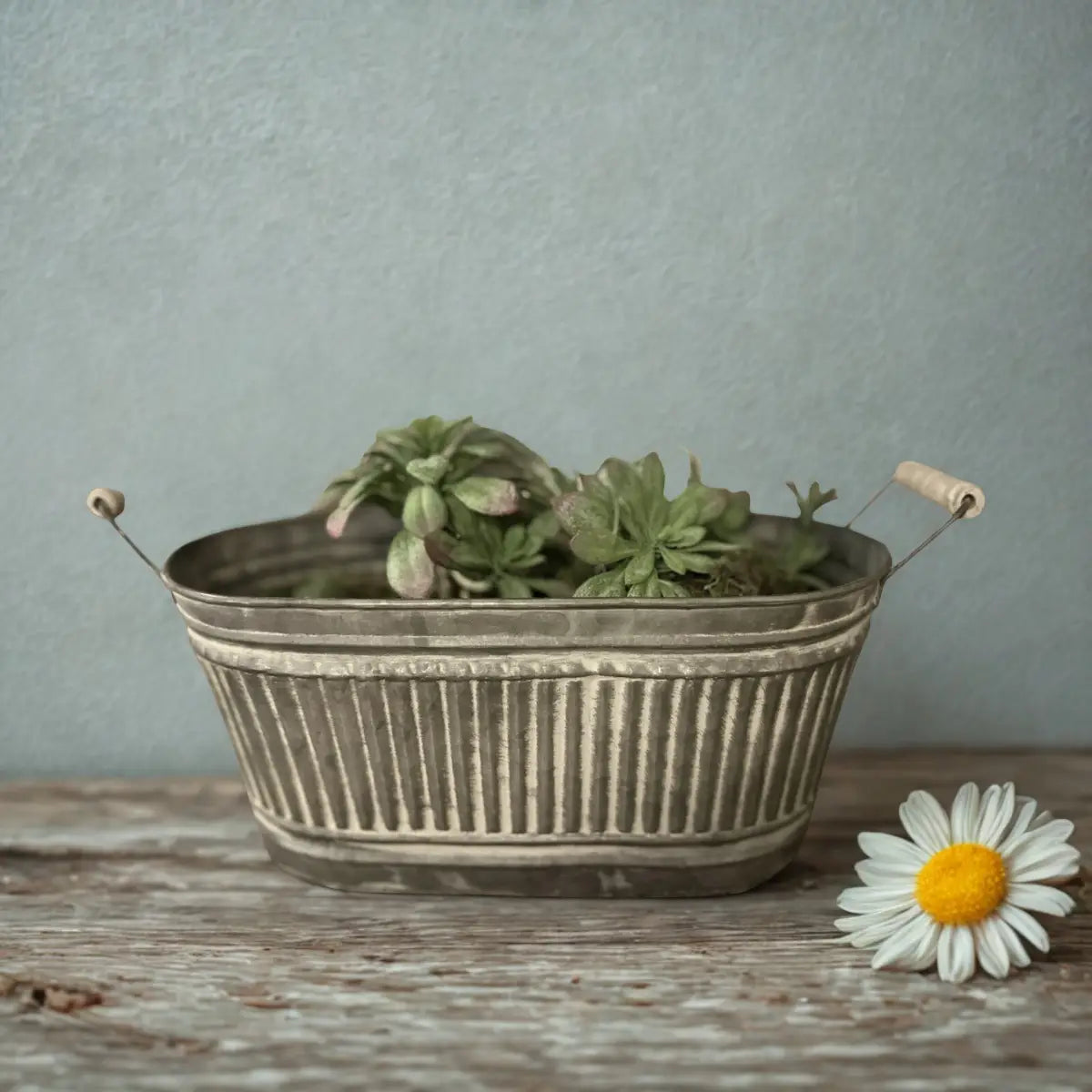 Iron Tray with Wood Handle - Set of 3 VagabondVintage