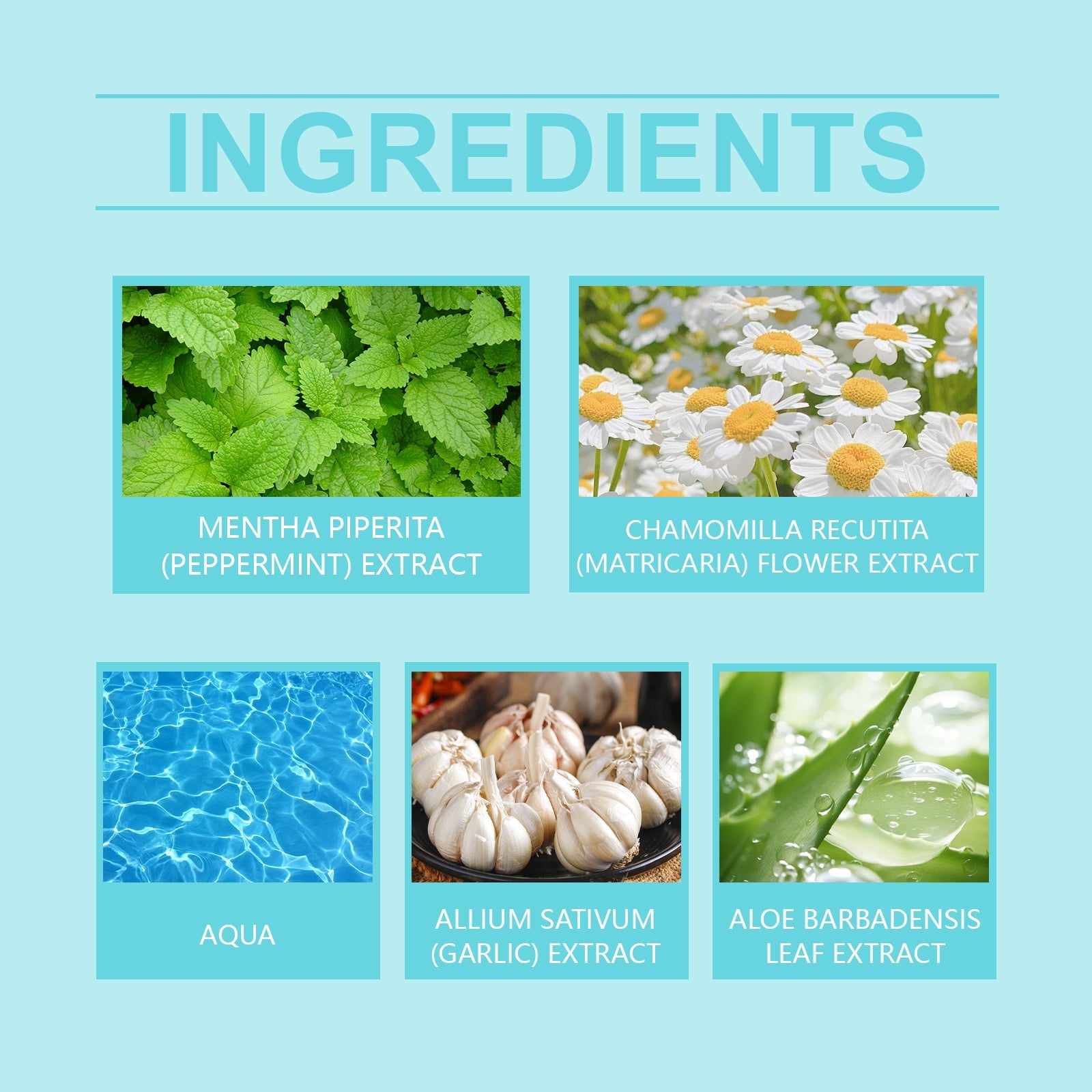 Breath Freshening Mouthwash Fresh Breath Daily Care Teeth Cleaning Odor Mouthwash