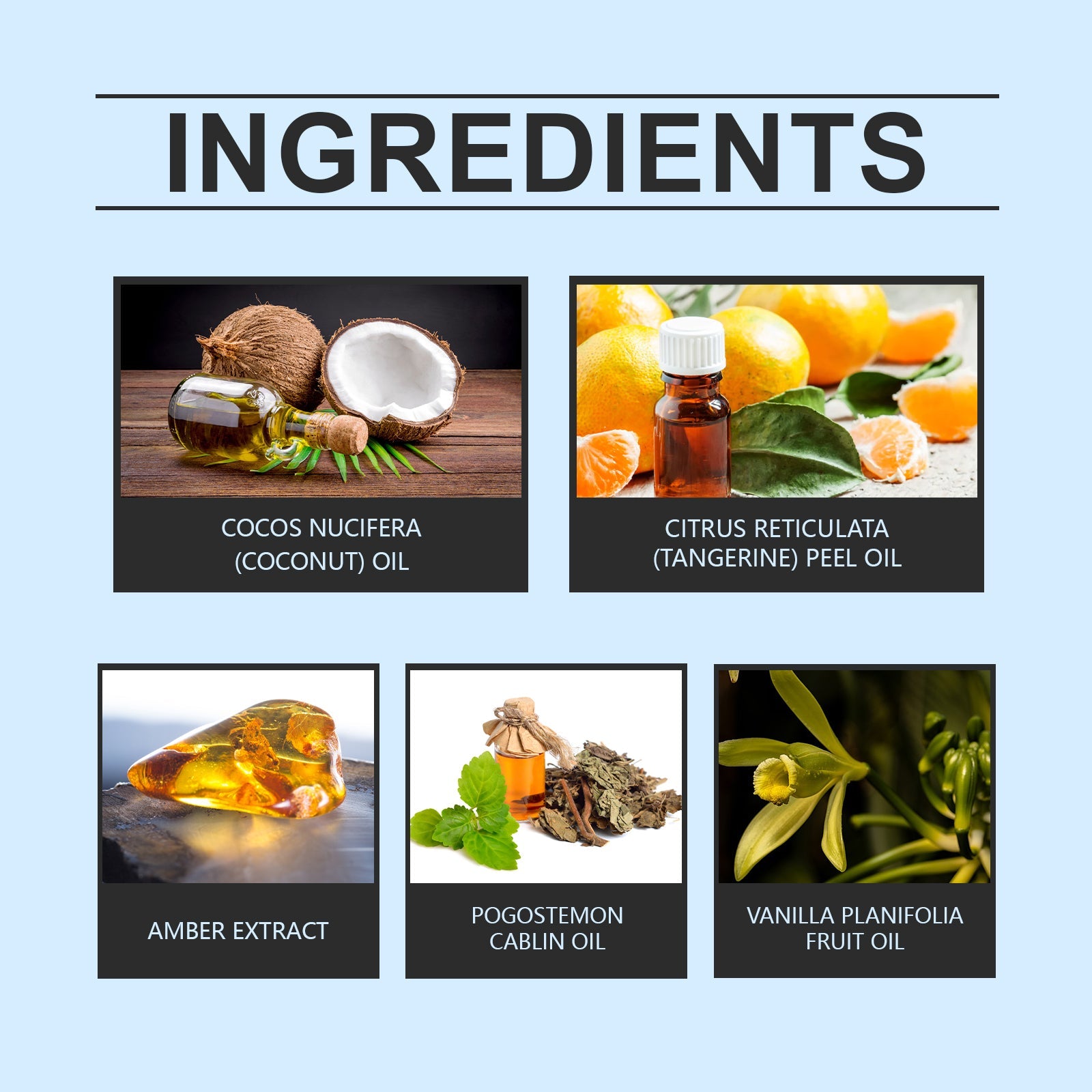 Oriental Fragrance Oriental Charm Eau De Toilette Spray Fresh Citrus Fragrance Light Fragrance