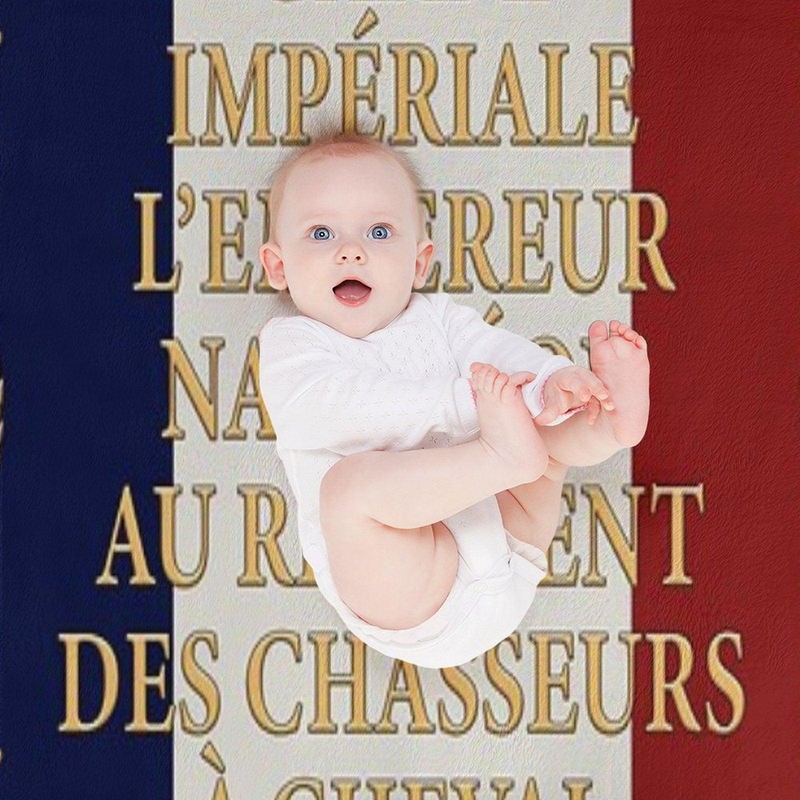 Napoleonic French Flag of The Chasseurs A Cheval De La Garde Throw Blanket