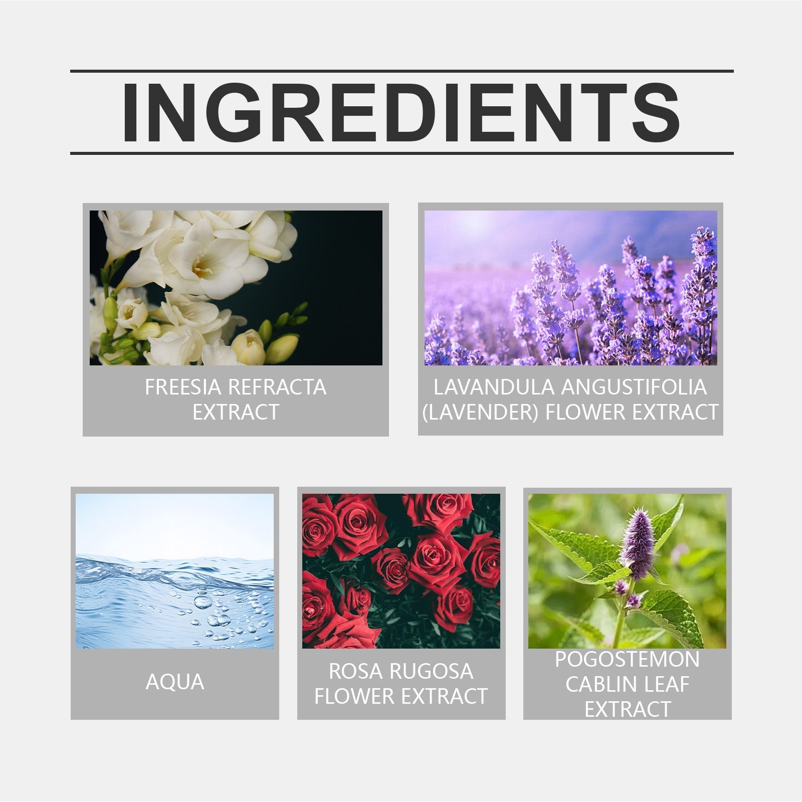 Eau De Toilette, Warm Wood Scent Charming Floral Fragrance Fresh Natural Fragrance Fragrance Lasting Fragrance