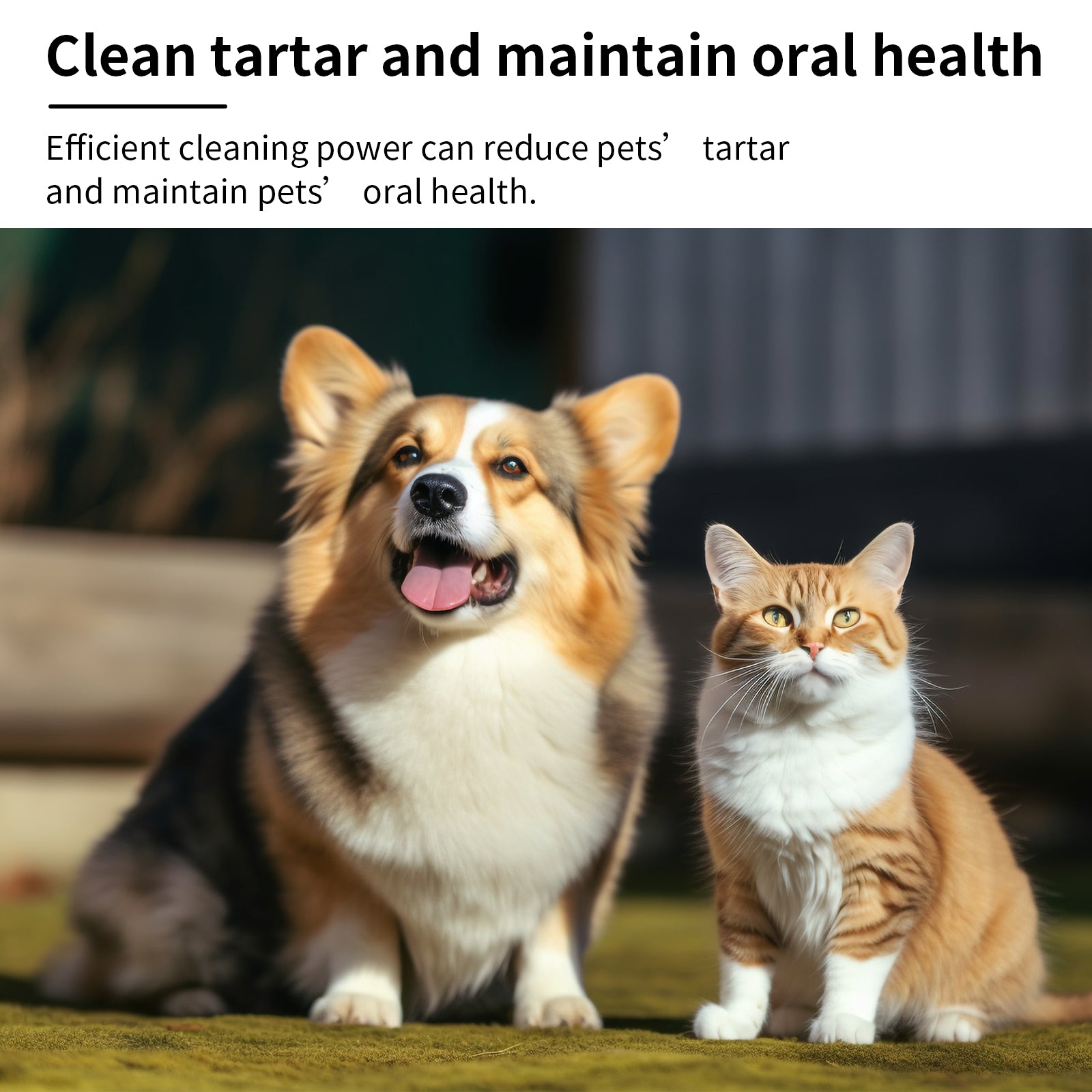 Pet Mint Fresh Breath Spray, Clean Your Dog's Bad Breath Fresh Breath Care