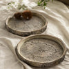 Cement Log Dish
