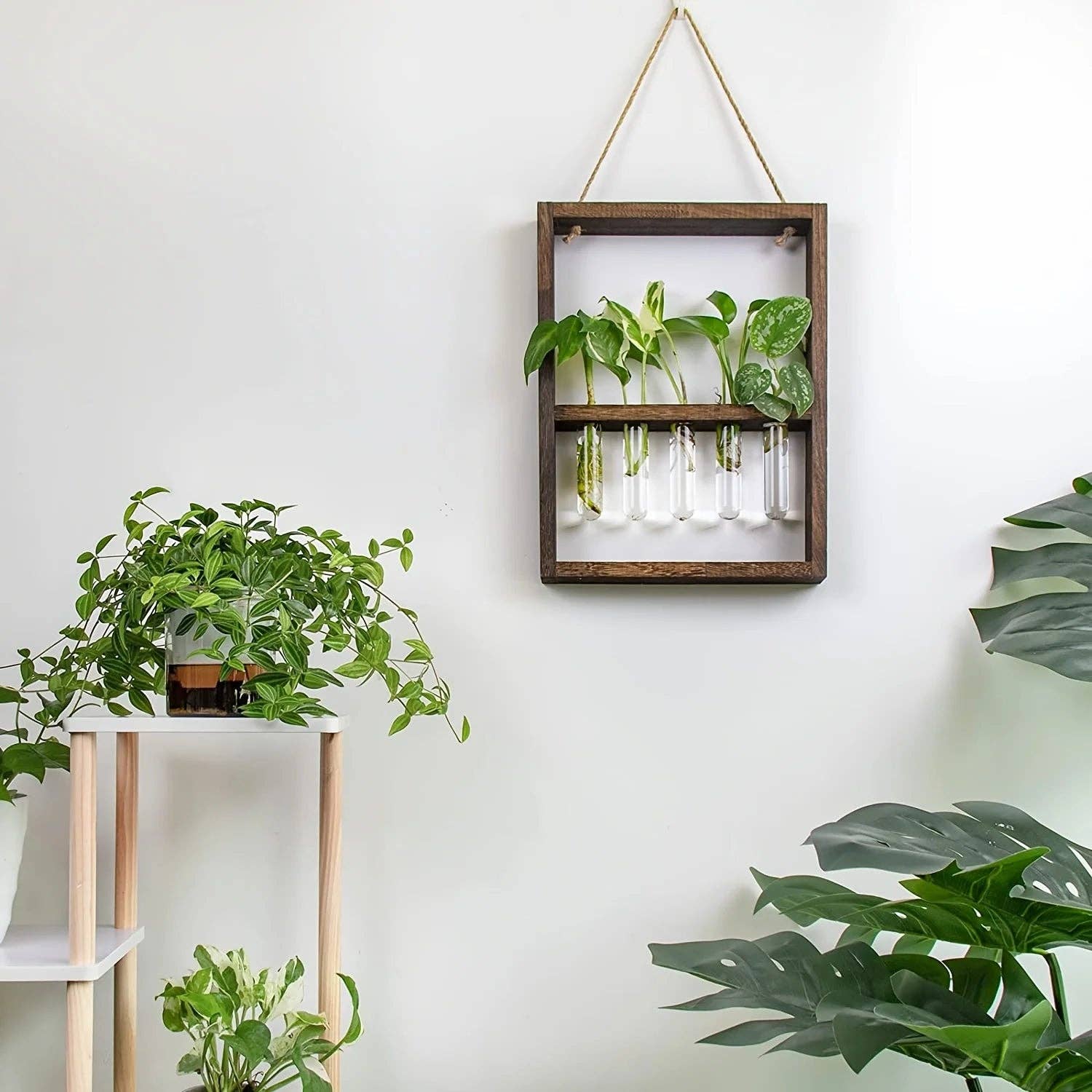 Plant Propagating Frame - Wooden Photo Frame Planter for Indoor Plant Propagation