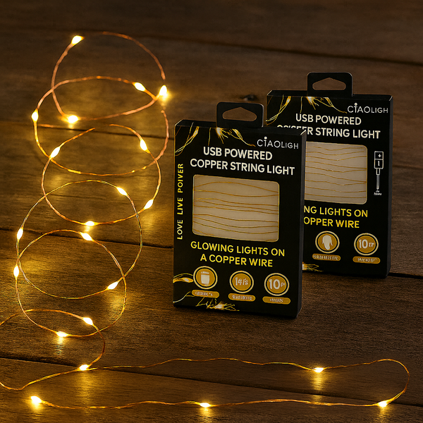 2-Pack 10-Ft USB Powered Indoor/Outdoor LED Copper Wire String Light