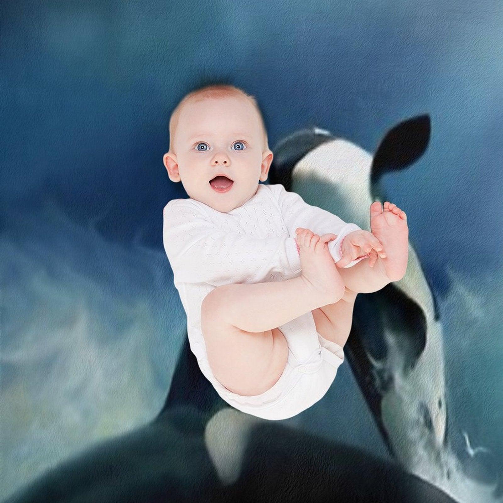 Orca Throw Blanket