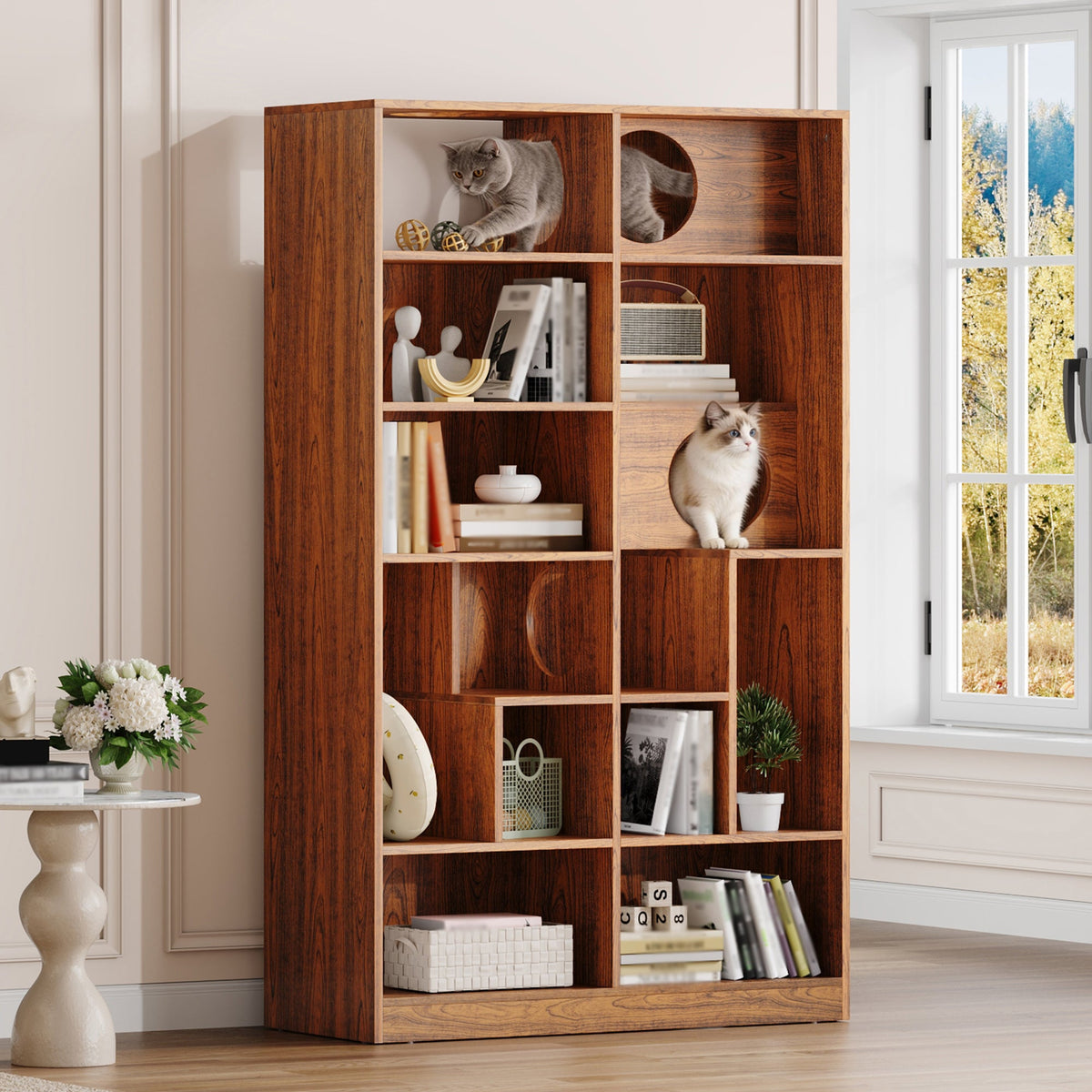Modern 2 IN 1 Wood Bookshelf Cat House