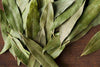 California Bay Leaf - Small / Whole