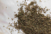 Celery Seed - Small - Tin / Whole