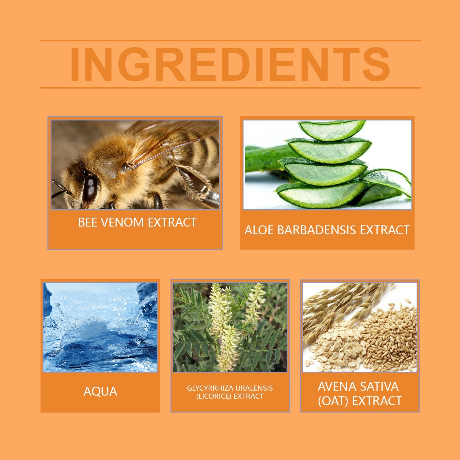 Bee-Venom Cowhide Moss Care Cream Moisturizes And Restores Itchy Red And Swollen Hands And Feet Skin Care Cream