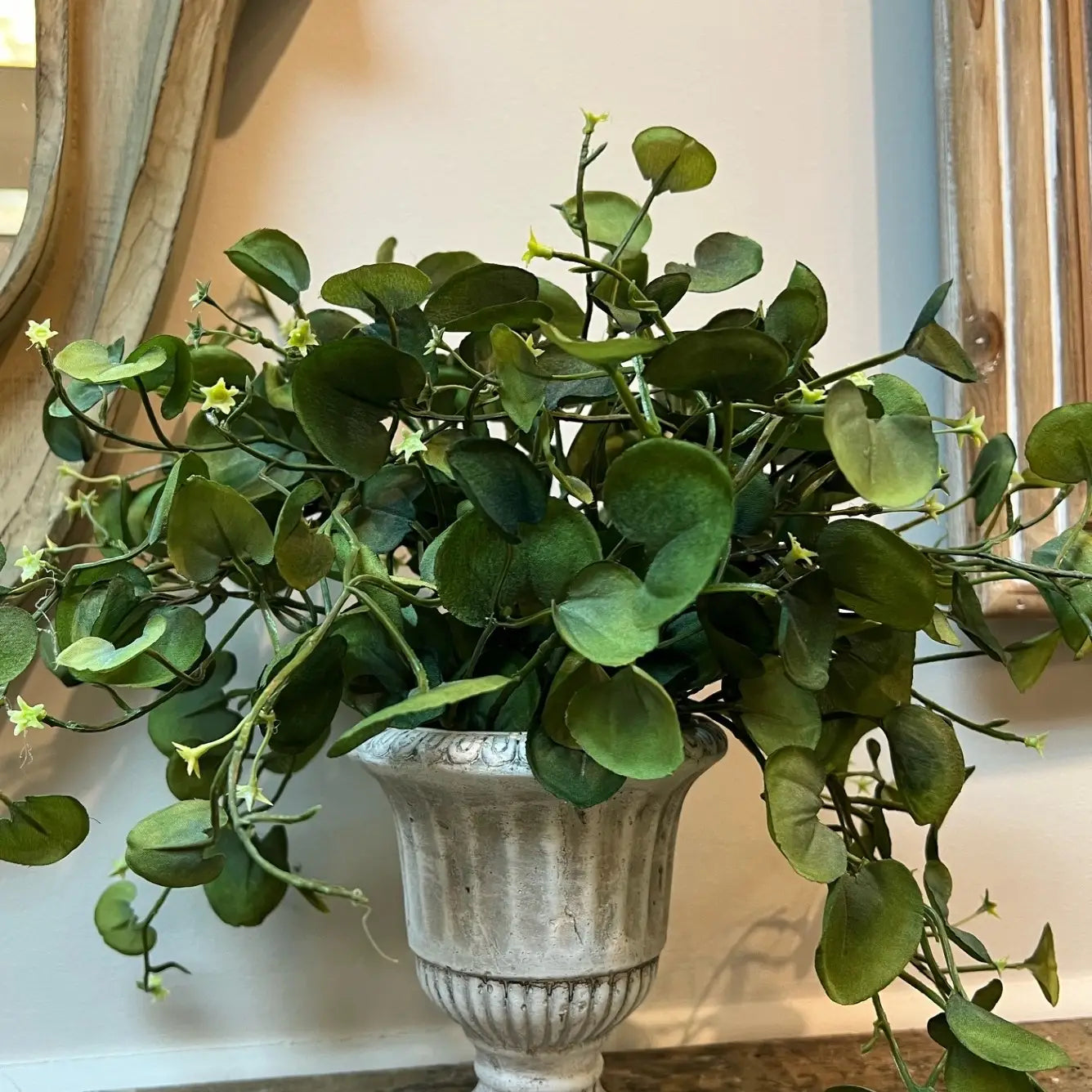 Cement Pedestal Planter Urn