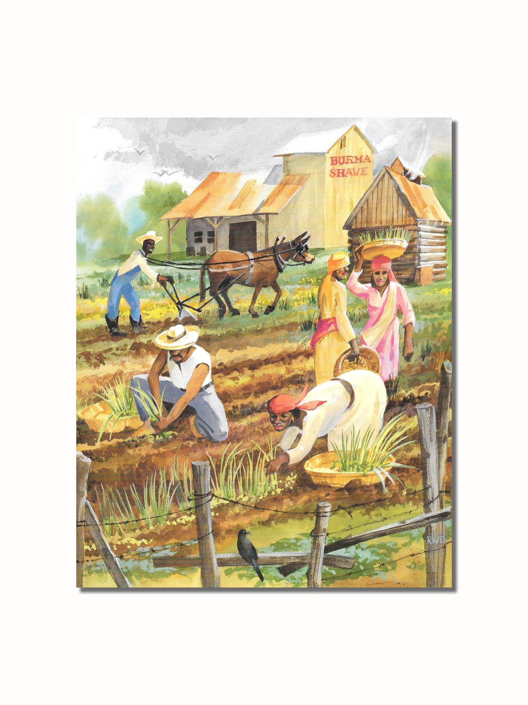African American Art Print - Black Cotton Harvest 8x10 Vivid Lithograph Wall Picture