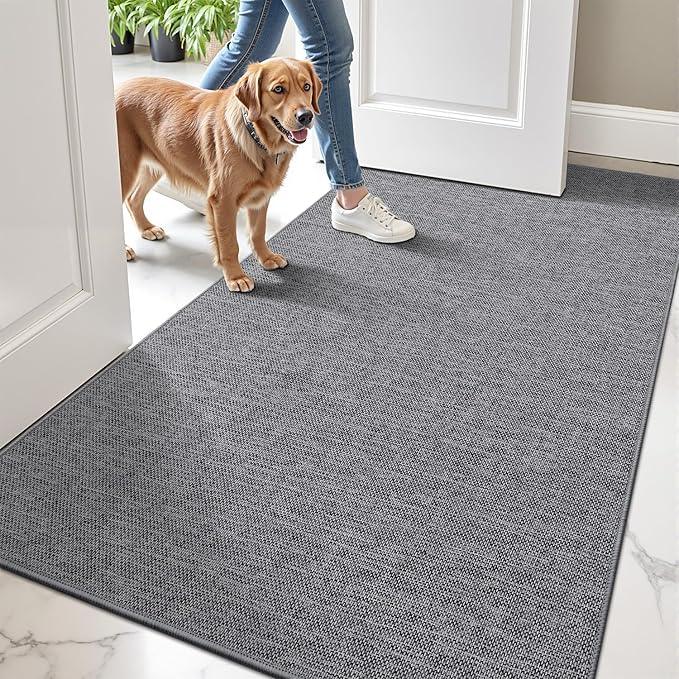 LUMI Ultra Thin Door Mat for Entryway,36