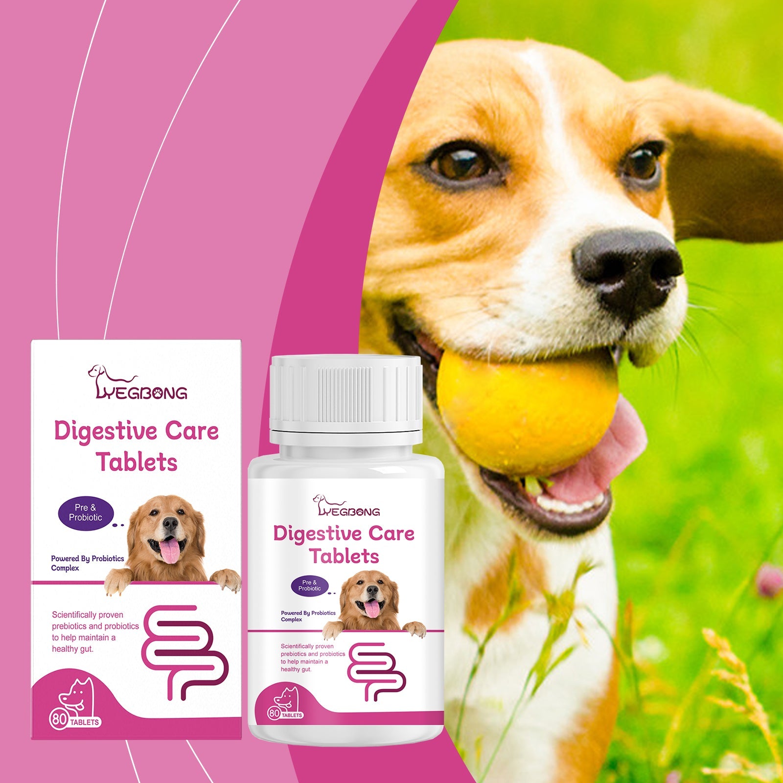 Dog Probiotic Tablets To Improve Intestinal Health, Balance Digestion And Absorption Of Pet Nutritional Supplements