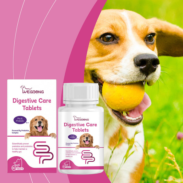 Dog Probiotic Tablets To Improve Intestinal Health, Balance Digestion And Absorption Of Pet Nutritional Supplements