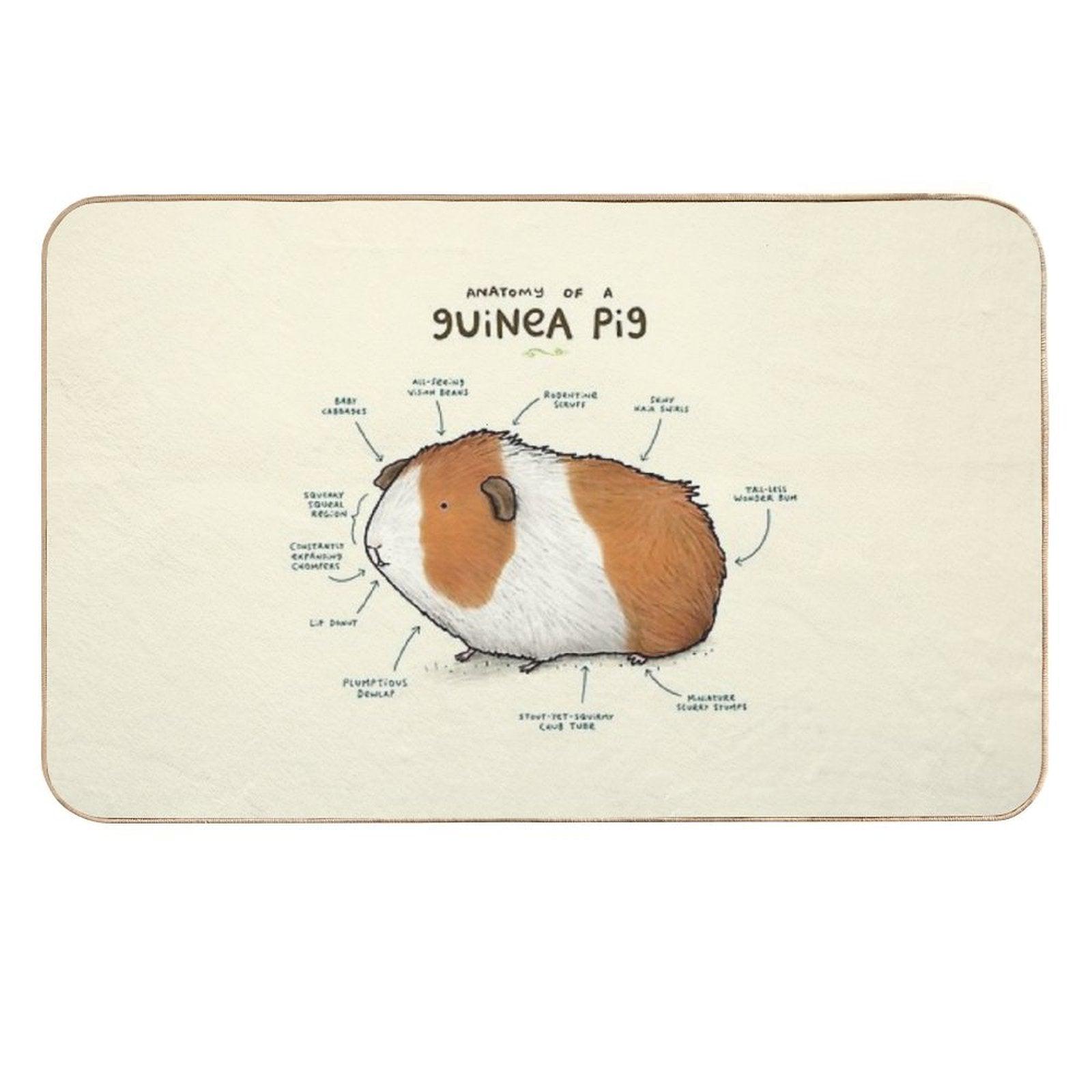 Anatomy of A Guinea Pig  High-Traffic Bath Mat