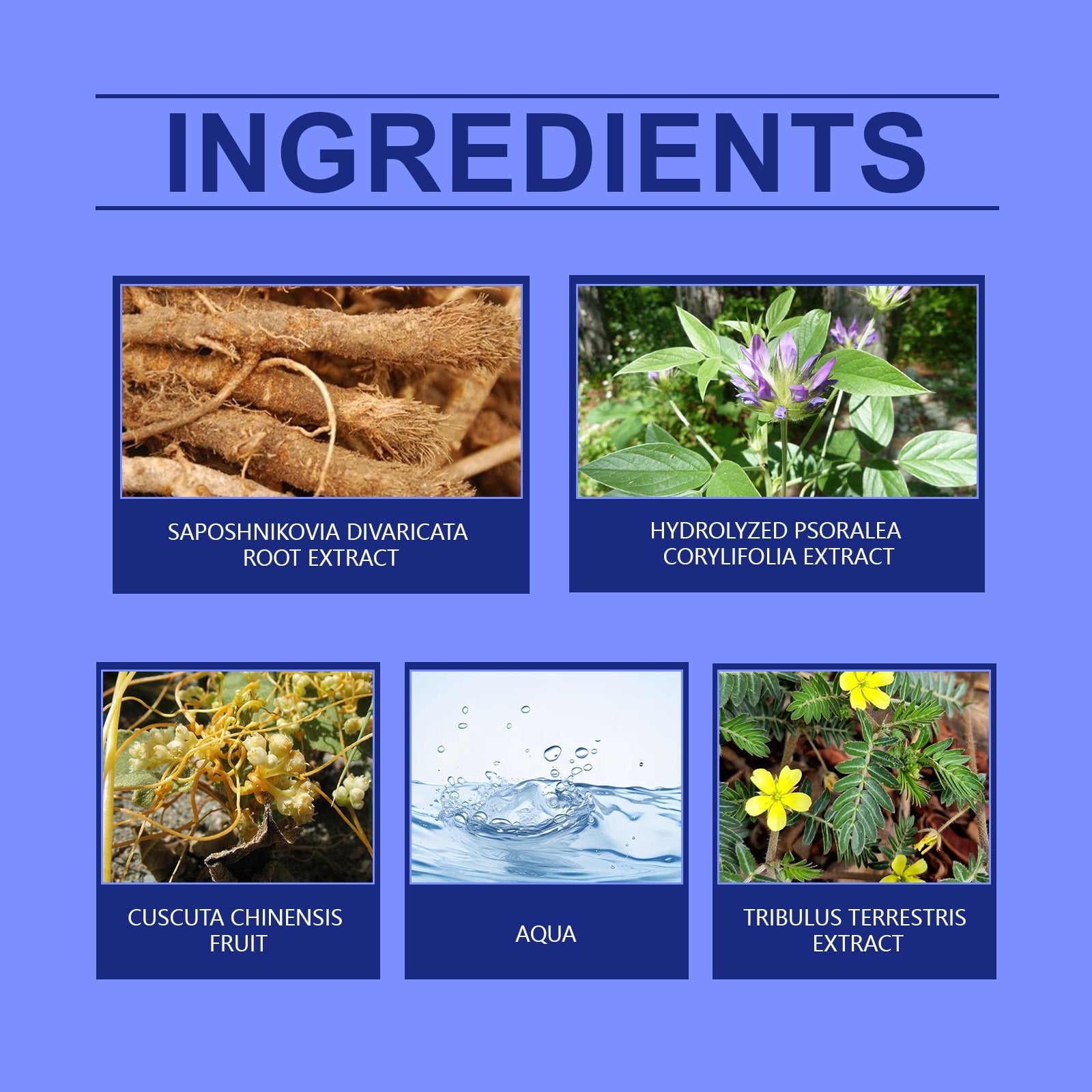 Skin Care Cream Equalizes Skin Tone, Moisturizes And Hydrates All Over The Skin