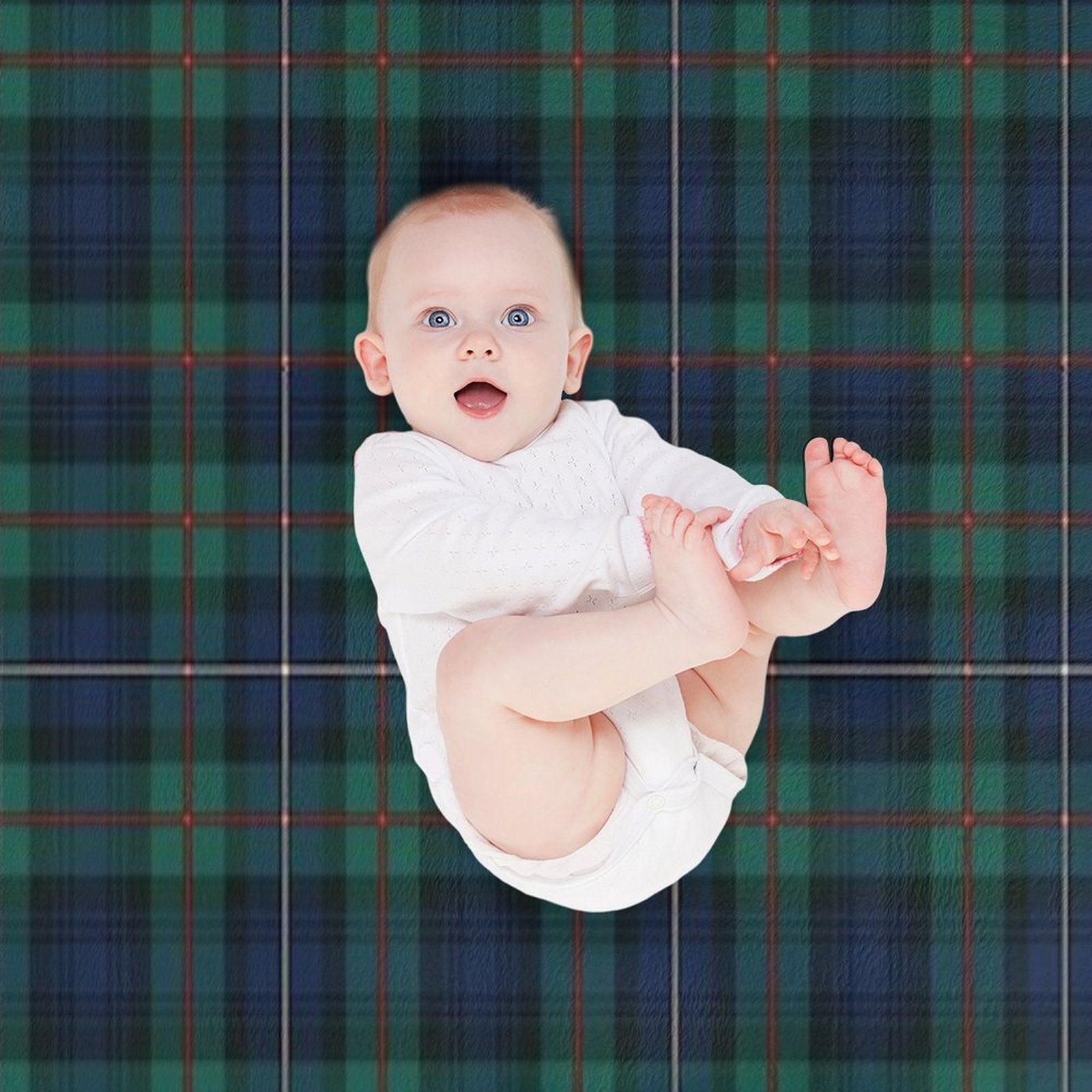 Robertson Plaid Tartan Pattern Lightweight Throw Blanket