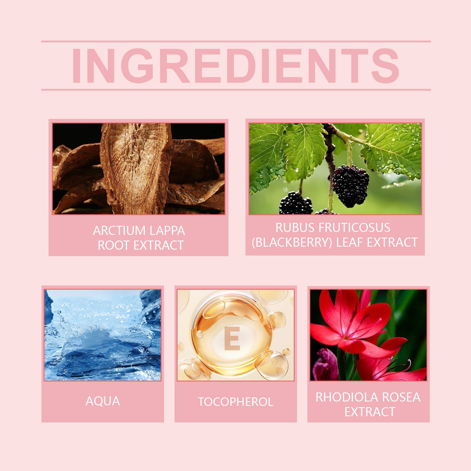 Progesterone Care Lotion Moisturizes, Nourishes, Eases And Improves Gently Moisturizes Skin And Body Balance Care Lotion