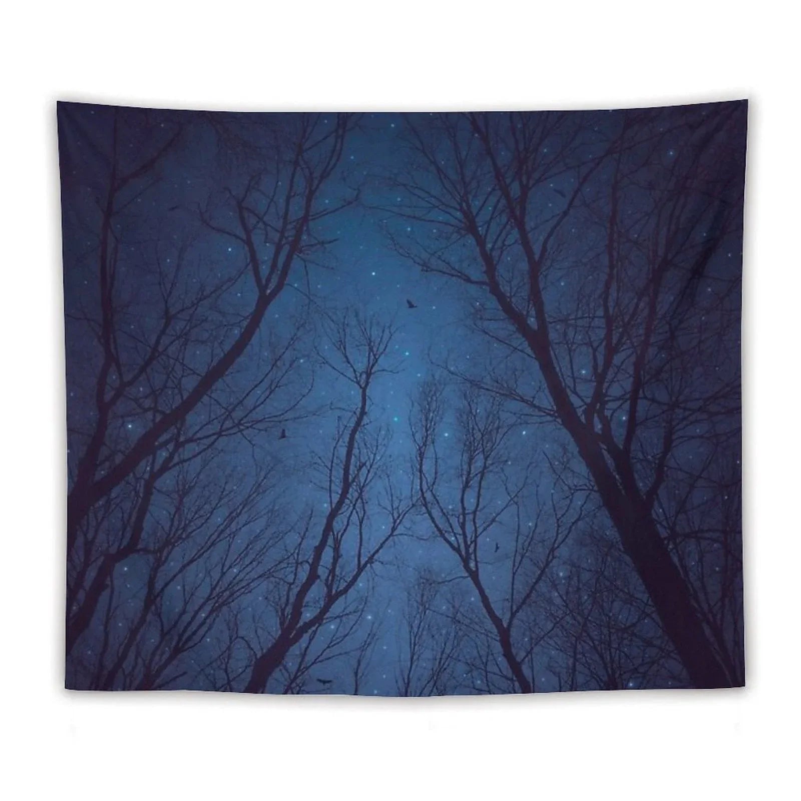 I Have Loved The Stars Too Fondly Tapestry