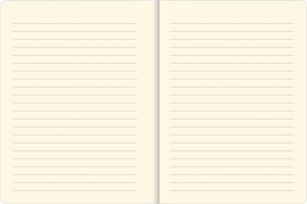 Sea Turtles Journal