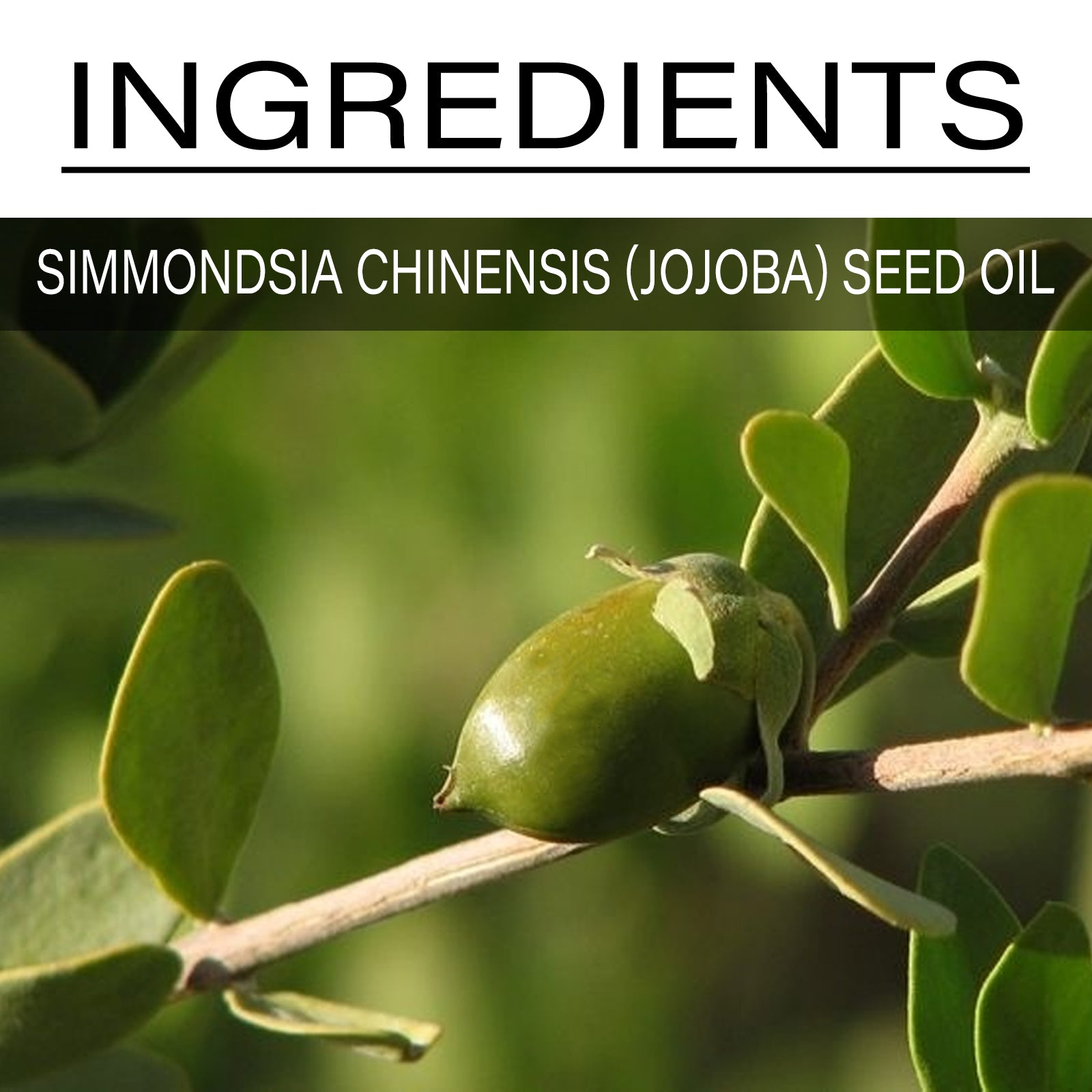 Jojoba Oil, Smooth Treatment Repair Frizz And Moisturize Skin Essence