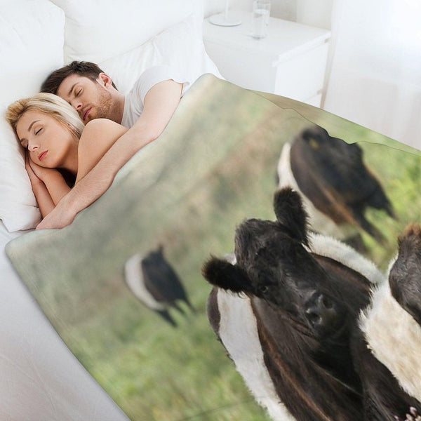 Belted Galloway Cows Throw Blanket