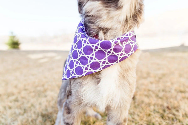 Purple Trellis Reversible Dog Bandana - Gifts for You 'n Me