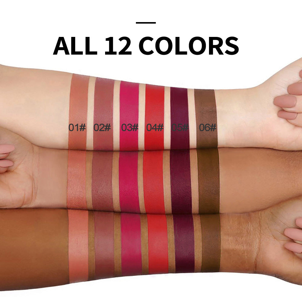 HANDAIYAN Popular Matte Matte Velvet 12 Colors Lip Gloss Liquid Lipstick Lip Glaze