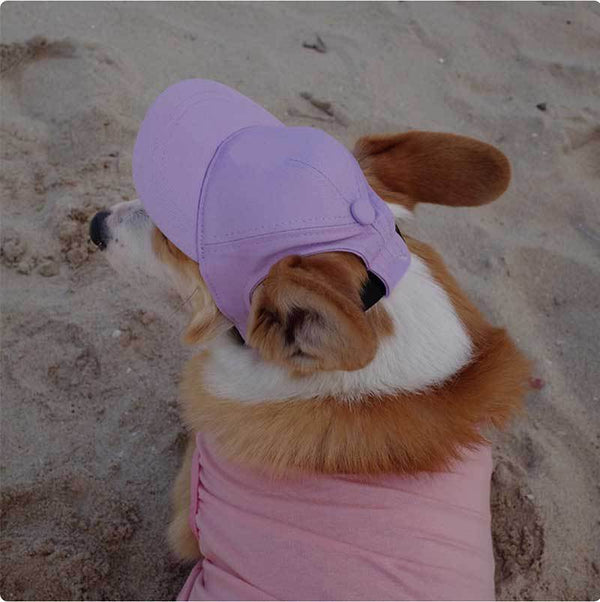 Pet Dog Outdoor Photography Leisure Sunshade Hat with Ear Holes Adjustable Corgi Baseball Cap